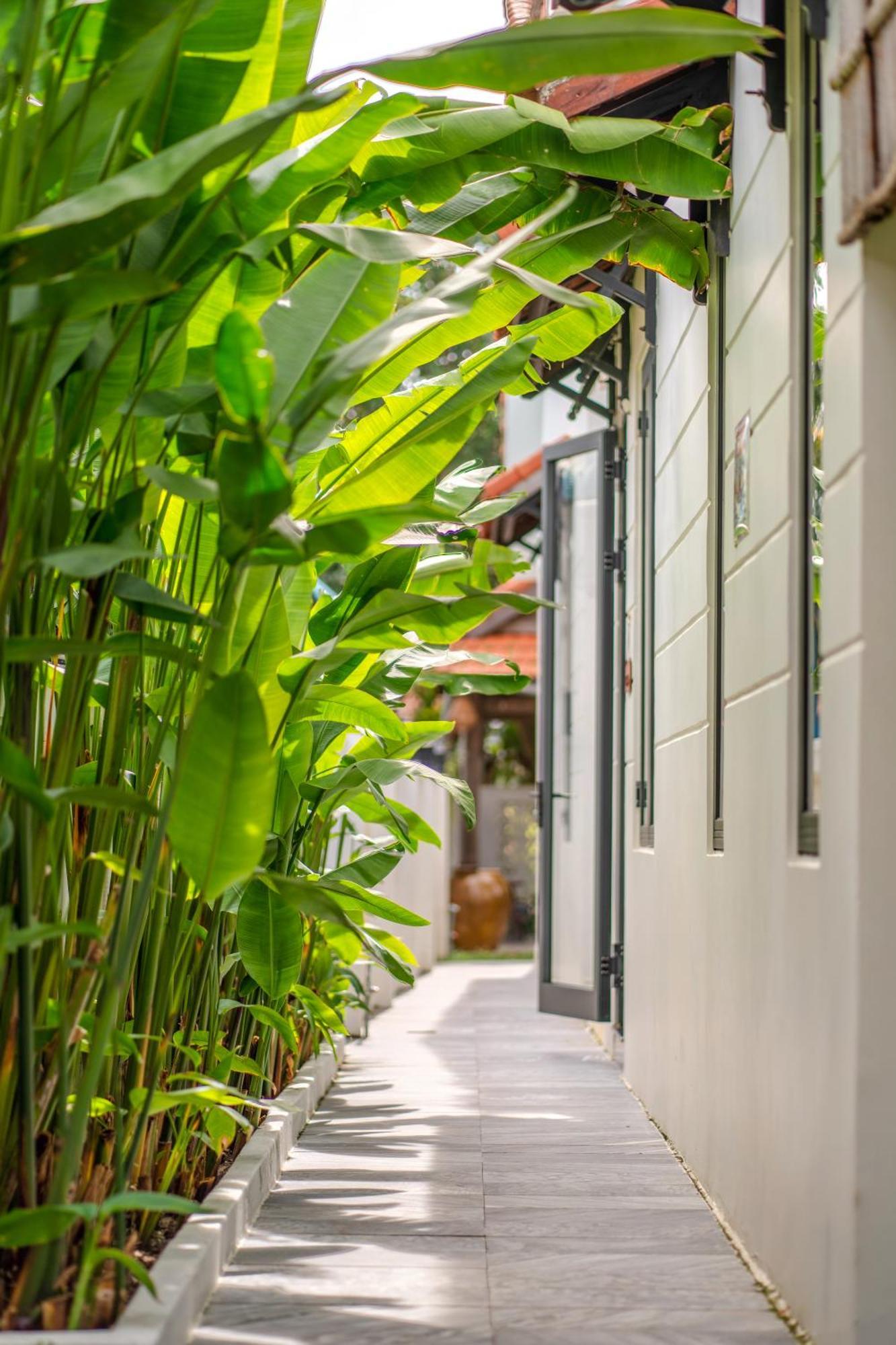 An Bang Seascape Homestay מראה חיצוני תמונה
